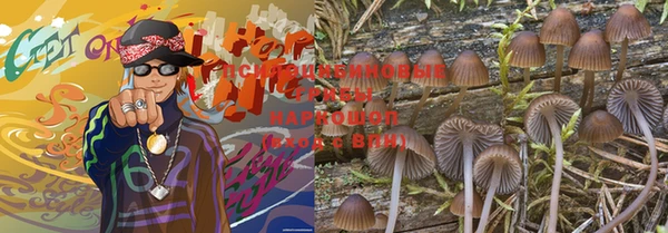 не бодяженный Алексин